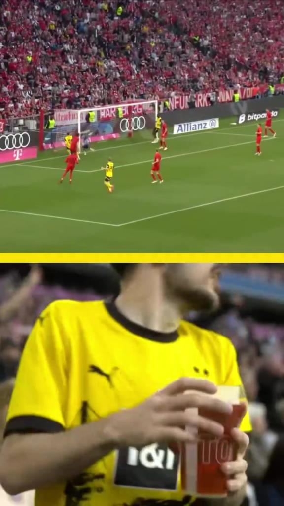 勇者無(wú)懼！這是真多特球迷！在拜仁球迷區(qū)一個(gè)人肆意慶祝！